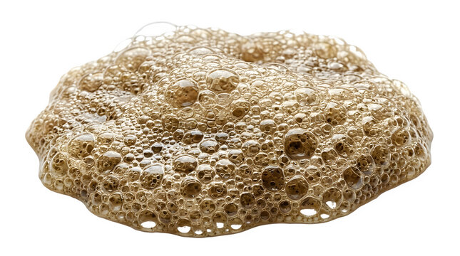 Close-up of a golden sponge cake with holes on transparent background.