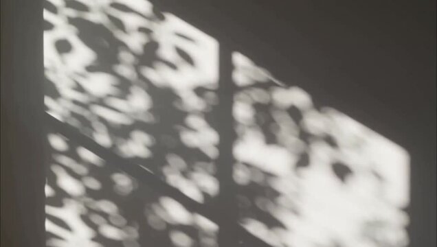 Abstract light and shadow pattern cast on a neutral wall surface.