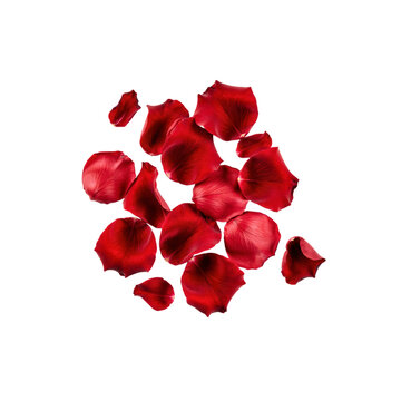 Red rose petals with digital glitch distortion isolated on a transparent background