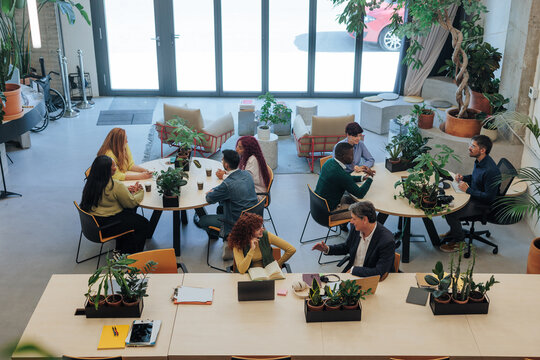 Diverse team collaborating in modern biophilic coworking space