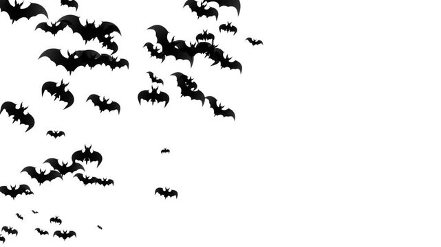 silhouette of flying black bats isolated on white background