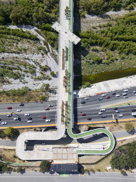 Aerial view of Paseo de la Mujer pedestrian bridge spanning over a busy highway with cars, surrounded by lush green trees and urban infrastructure in Monterrey, Nuevo Leon, Mexico.