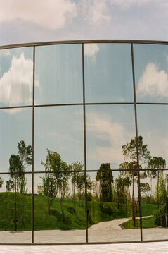 Mirror Reflections