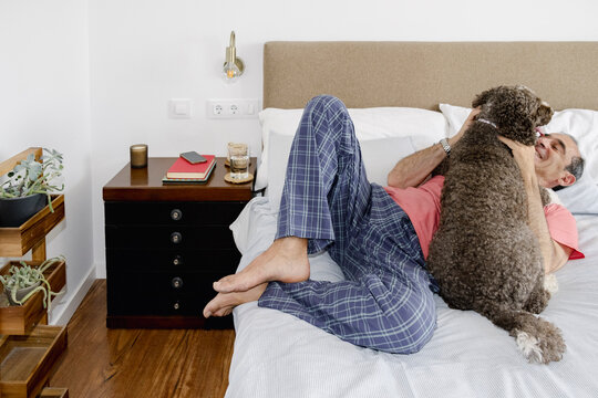 Playful curly dog cuddling senior owner during relaxed morning in bed