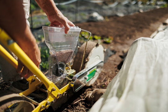 Person planting seeds using manual garden seeder in field