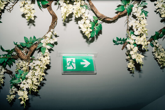 Sign Showing Exit Path Under Flowers in a Building