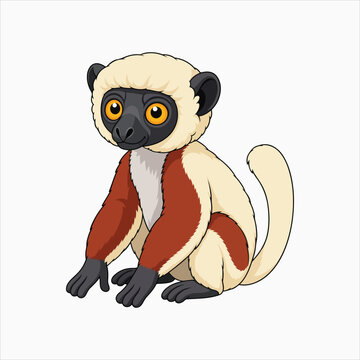 Coquerel's Sifaka striking lemur species vector illustration