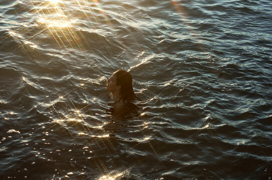Woman swimming at shining sea at the evening