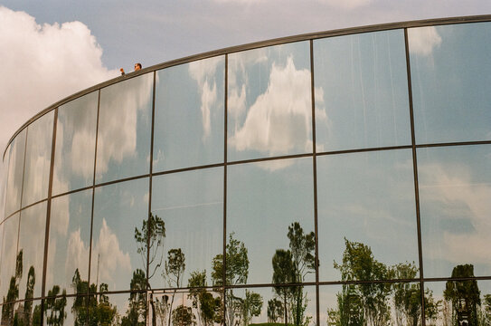 Mirror Reflections