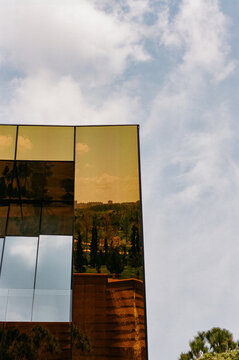 Mirror Reflections