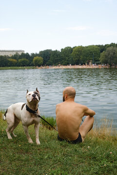 Man Sits by Lake With Dog Enjoying the Outdoor View