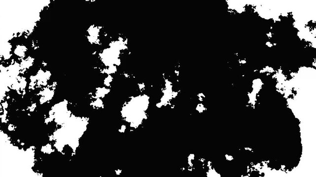 Black ink stain expanding and filling the frame, watercolor paint bleed transition, organic fluid motion, splattered droplets, flowing liquid edges,4k footage