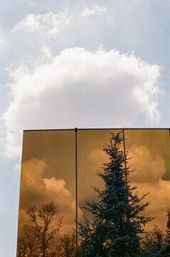 Mirror Reflections