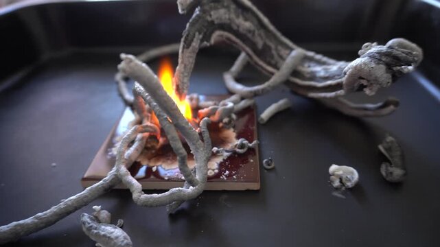 An experiment with calcium gluconate. The formation of gray porous &ldquo;snakes&rdquo; as a result of thermal decomposition. The flame and the process of structure growth are visible.