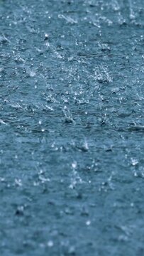 Rain drops splashing on water surface in vertical motion.