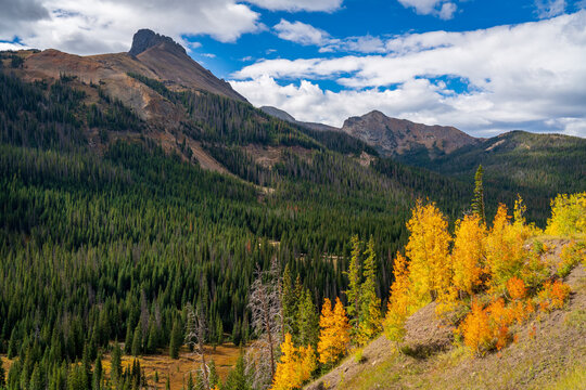 Fall colors in Colorado