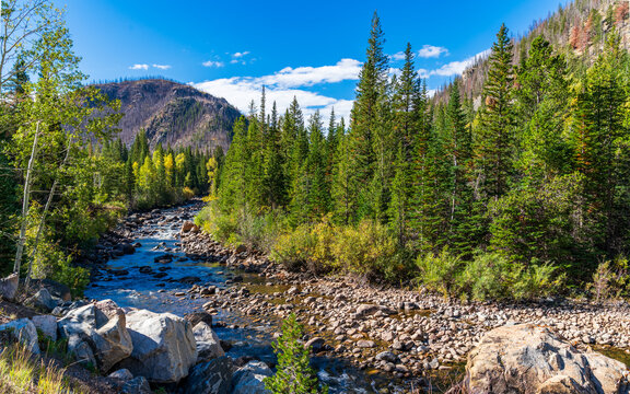 Fall colors in Colorado