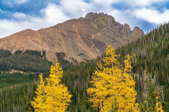 Fall colors in Colorado