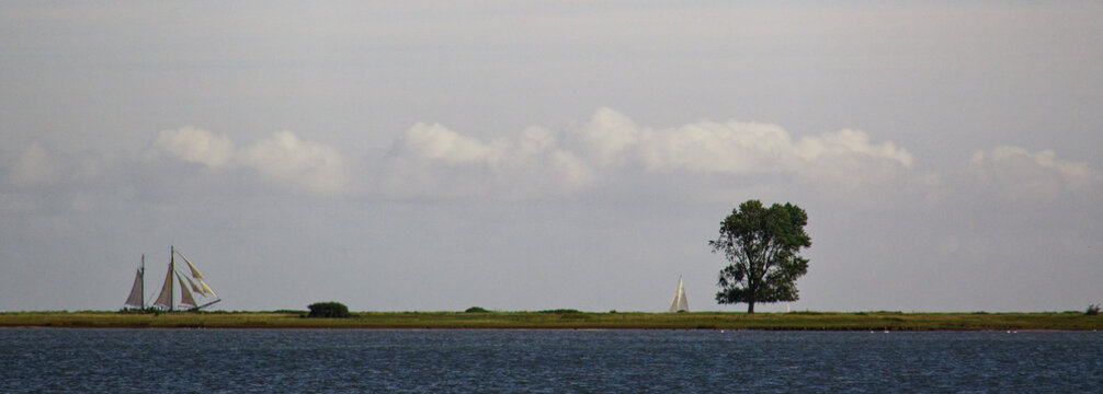 Schlei