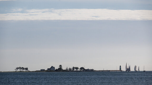 Schlei