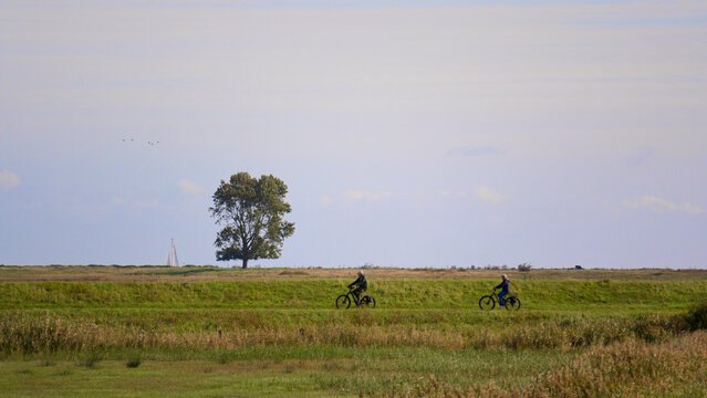 Radeln an der Schlei