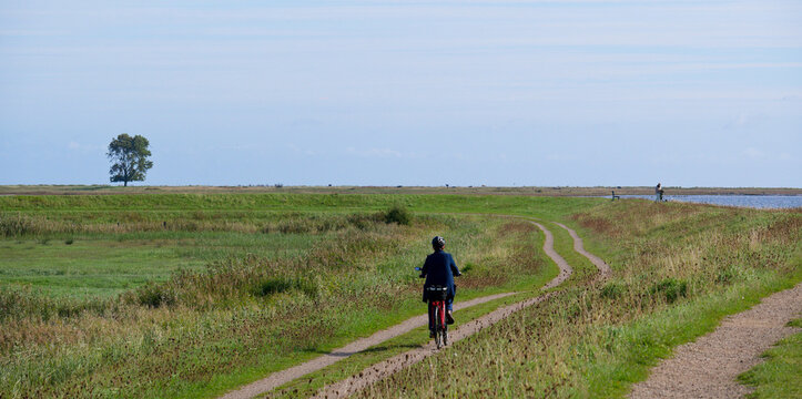 Radeln an der Schlei