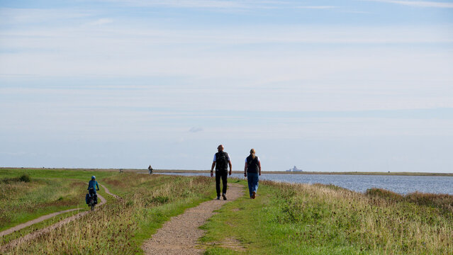 Radeln an der Schlei