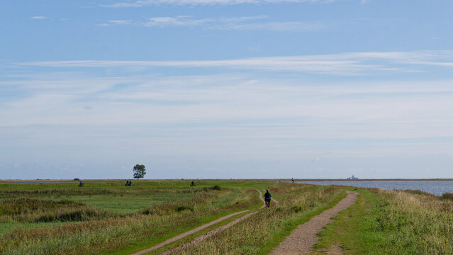 Radeln an der Schlei