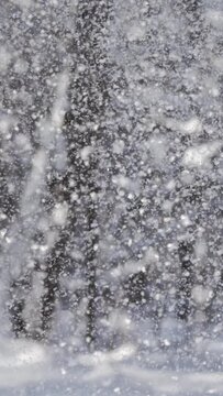 Winter landscape during snowfall. Winter Christmas abstract background on super slow motion.