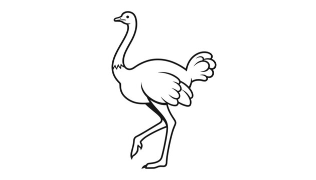 Black and white outline illustration of a standing ostrich walking with long neck and feathers on a plain white background.