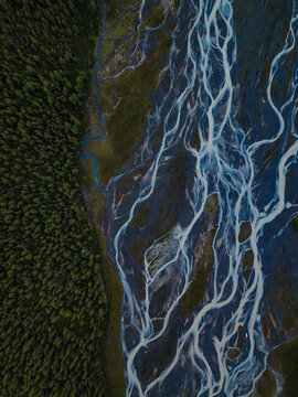 Braided River and Forest from Above