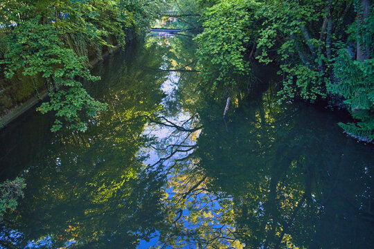 Kleiner Bachlauf mit B&auml;umen am Ufer, Spiegelungen im Wasser