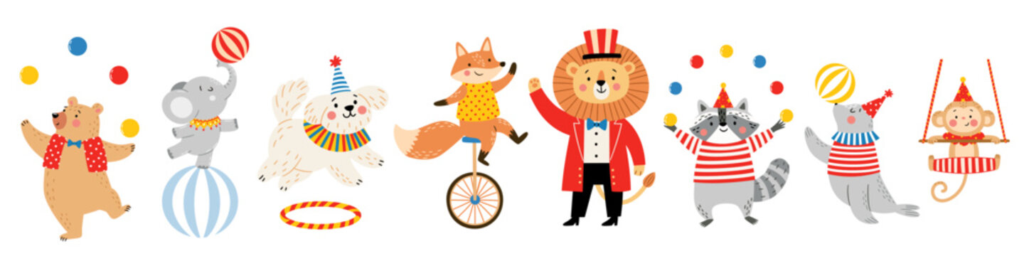Colorful circus animal set featuring a bear, elephant, dog, fox, lion, raccoons, cat and monkey performing tricks. Cute flat vector illustration for children, posters, cards and party designs. Vector