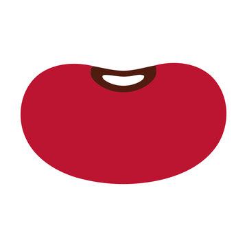 Single red kidney bean illustration Vector
