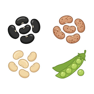 Set of fresh raw beans and green peas in a simple hand drawn cartoon style Vector