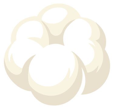Fluffy cotton ball or flower blossom vector illustration