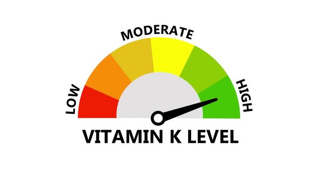 Vitamin K Level Gauge with Moving Needle Showing Low Moderate and High Levels