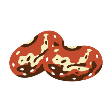 Two red kidney beans isolated in a simple flat vector illustration style Vector