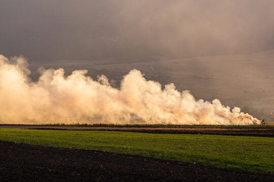 Burning Straw Stubble Producing Smoke and Air Pollution. Burning straw stubble in an agricultural field after harvest, producing thick smoke and air pollution during autumn field clearing.