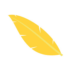 yellow feather isolated on white background © ichasiti