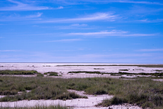 Vast expanse of the Etosha salt pan in Namibia featuring dry grassy terrain and saline soil crust stretching toward a flat horizon under a clear blue sky.
