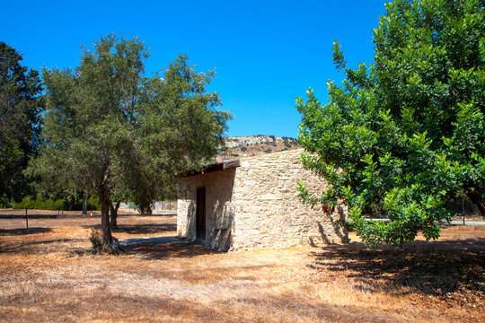 Old stone house found in an olive trees field in Cyprus