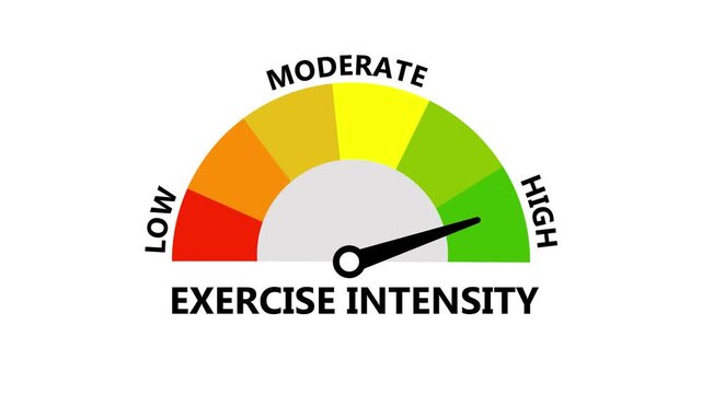 Exercise Intensity Speedometer Gauge Animation Tracking Workout Effort and Training Load Level Low to High