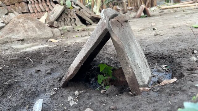 Small Green Plant Growing Under Concrete Slabs Symbolizing Resilience and Growth
