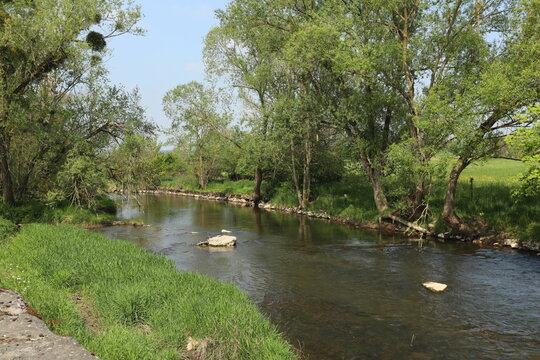 A tranquil stream flows through a lush green landscape bordered by tall deciduous trees