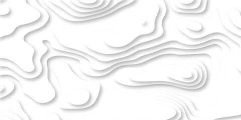 Obraz premium Vector white paper transparent minimal light element shadow landscape wave element curve graphic papercut design. abstract carve wave line luxury papercut background.