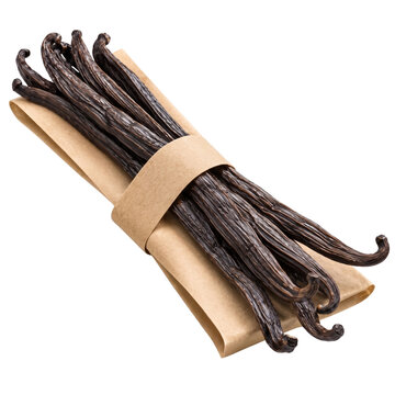 Vanilla beans bundled in kraft paper