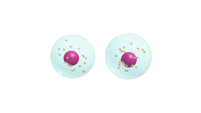 Cellular Mitosis Process Biological Cell Division Animation