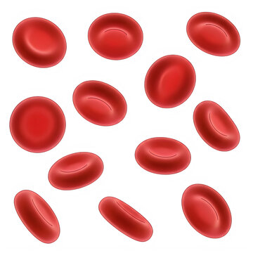Red blood cells floating