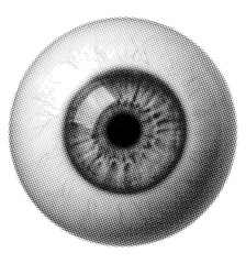 Human eyeball circle vintage detail on transparent background © Maksuda